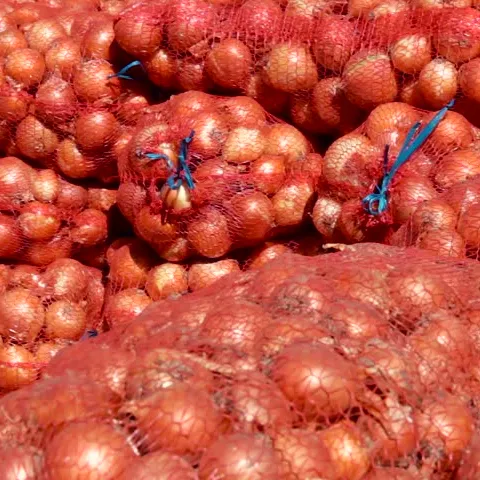 Qualità Crop Rosso cipolla Fresca