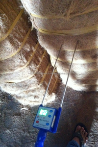 Coconut Coir <b>Fiber</b> in Crop - Product Image 5