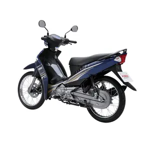 Moto dya Offre Spéciale fabriquée au Vietnam, en rouge/bleu, thunng, 115cc