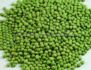 <b>GREEN</b> <b>BEAN</b> HIGH QUALITY FROM VIET NAM in 2020 - Product Image 3