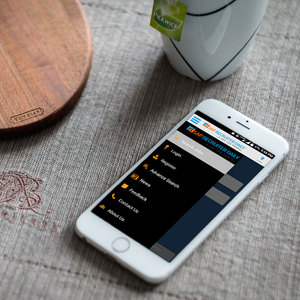 พอร์ทัลการสรรหา | ได้รับรางวัลชนะบริการพอร์ทัลการสรรหาโดย protolabz eservices - Product Image 4