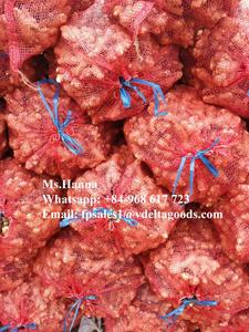 Gingembre frais/Vente en gros quantité gingembre - Product Image 6