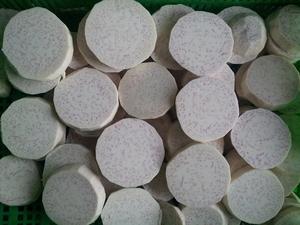 THE BEST PRICE for <b>FRESH</b> TARO- FROZEN TARO WITH HIGH QUALITY 2024 HOLIDAY - Product Image 2