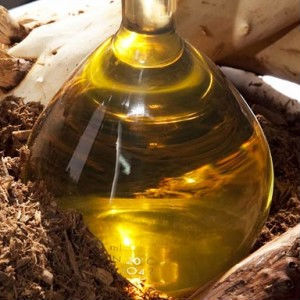 Découvrez le parfum luxueux du bois de santal en gros huile essentielle biologique pure en vrac parfaite pour les parfums d'aromathérapie bougies - Product Image 2