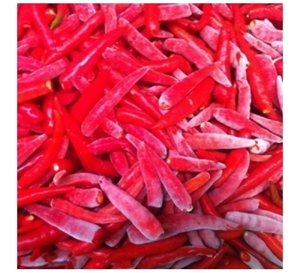 Gran oferta de Chili sin tallo, para vacaciones - Product Image 2