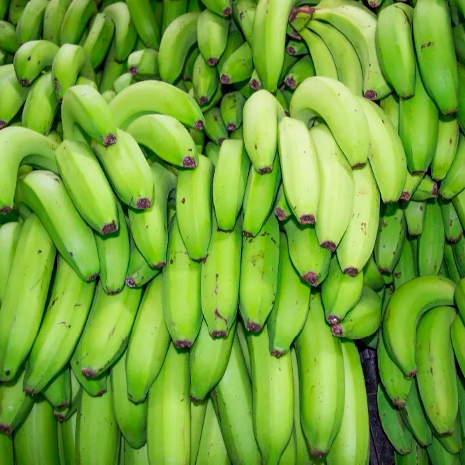 กล้วยสีเขียว/เวียดนามผลิตภัณฑ์พิเศษ/