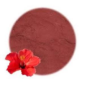 ขายส่งผู้ผลิตของ Hibiscus Rosa Sinensis ผงจากอินเดีย - Product Image 1