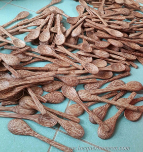 Natural Coconut Wood Spoon, Coconut Bowl from Viet Nam - Product Image 1