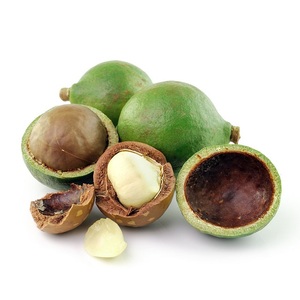 Aceite portador Tamanu - Product Image 1