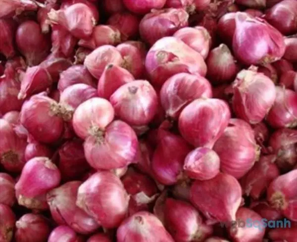 Kualitas Terbaik Bawang Merah dari Vietnam//Nn. Vy (Whatsapp/Telegram: + 84 903 641 079)