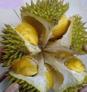 Wholesale for <b>Fresh</b> <b>Durian</b> with the Highest Export Quality - Product Image 3