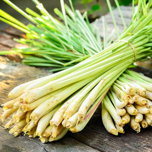 Citronnelle hachée/WHATSAPP - Product Image 1