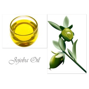 Aceite portador de jojoba dorado orgánico para cosméticos y aromaterapia Calidad de exportación OEM/ODM disponible - Product Image 3