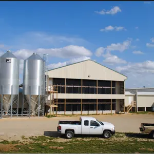 Prefabricated Steel Structure Chicken Farm With Animal Cages