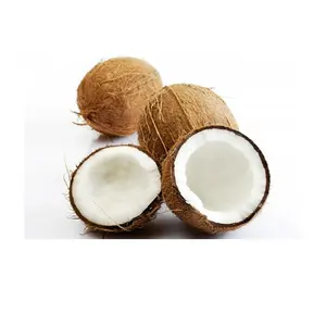 BEST PRICE DRIED COCONUT FOR IMPORTERS +84 845 639 639