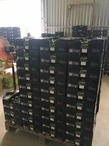 Citron vert sans graines Vietnam de haute qualité à vendre - Product Image 3