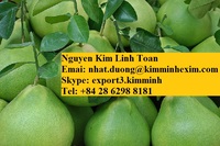 Verse Pomelo Citrus Fruit Witte Pulp/Roze Pulp Gemeenschappelijke
