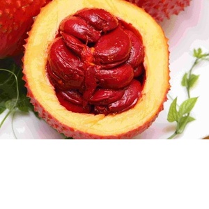 Poudre de Gac en poudre de courge géante pour colonne vertébrale, vente complète - Product Image 1