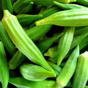 Mejor Proveedor de Okra Congelada/ Okra de Vietnam - Product Image 3