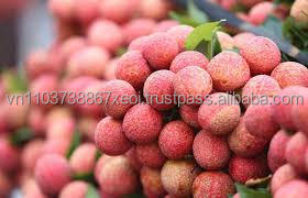 Venta al por mayor de lichi seco de alta calidad nueva cosecha en Vietnam-fruta tropical con el mejor precio - Product Image 4