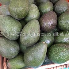Aguacate Fuerte Fresco, Aguacate Hass/Aguacate Hass, Aguacate Fuerte disponible a precio muy económico - Product Image 2