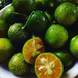 Poudre de Kumquat de Haute Qualité - Poudre de Calamansi - Product Image 3