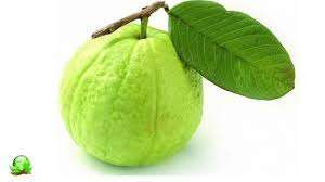 ฝรั่งสีแดงสด-หวานอร่อย - Product Image 2