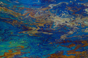 Olio di degradare i batteri/microbi/bioculture - Product Image 3