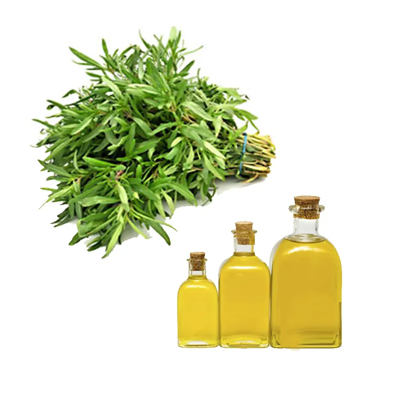 100% Natural and Pure Savory Oil / Savory Essential Oil from Indian Supplier at Very Affordable Rates