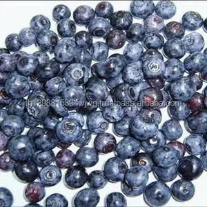 冷冻蓝莓水果速冻蓝莓野生新鲜蓝莓批发