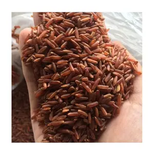 High Quality Raw Brown Rice - High Protein for Lose Weight and Gym - Product of Vietnam // Mr Alexie (Whatsapp 84 367585305)