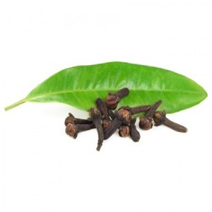 Aceite Esencial Puro de Hoja de Clavo Certificado GMP con Origen en Indonesia, Destilado al Vapor, para Antienvejecimiento - Product Image 2