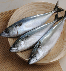 Envasado al vacío congelado IQF Filetes de Pangasius bajos en grasa Producto de pescado de calidad premium - Product Image 4