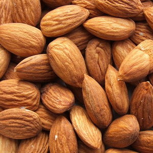 High Quality Organic Dried Premium Almond <b>Nuts</b> <b>Kernels</b> with Shell Wholesale Price - Product Image 1