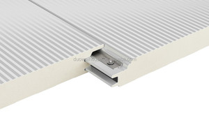 Duowei — <span class=keywords><strong>panneau</strong></span> sandwichs en <span class=keywords><strong>fibre</strong></span> <span class=keywords><strong>de</strong></span> <span class=keywords><strong>verre</strong></span> PIR,, pour la construction <span class=keywords><strong>de</strong></span> maisons illuminées - Product Image 4
