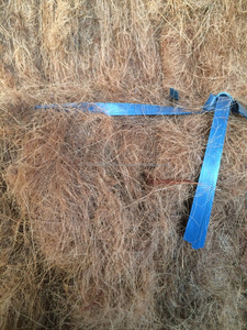 Fibra de Coir de coco seco, fibra Natural - Product Image 5