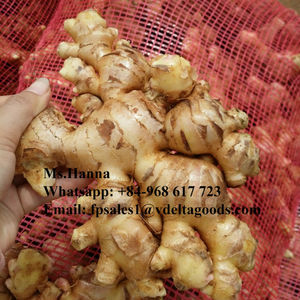 Gingembre noir, de haute qualité, 2021, livraison gratuite - Product Image 1