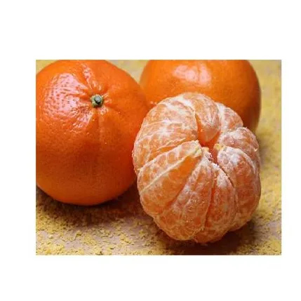 Großhandel Vietnam Frische Orangen/Frisches Obst