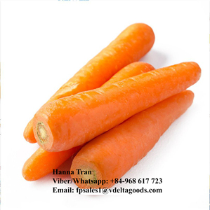 Carottes fraîches à vendre Éplucheur de carottes du Vietnam au PRIX LE MOINS CHER NOUVELLE CULTURE du fournisseur du Vietnam - Product Image 6