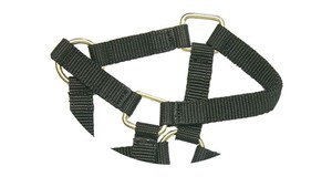 Accessoires de course de chevaux Collier de tête miniature Cuir Nylon Halter - Product Image 3