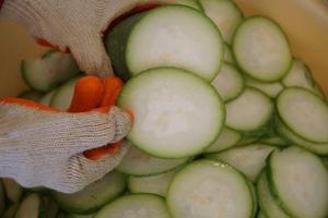 ฟักทองฟูเวียดนามคุณภาพสูง - Product Image 3