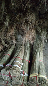 Balai coco Bâtons - Product Image 3