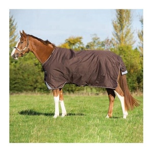Manta para Caballos de Algodón y Poliéster Ecológica, Color Turquesa, Impermeable, con Malla, para Primavera y Otoño, Directo de Fábrica - Product Image 2