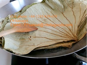 Hojas de Loto Congeladas de Vietnam, Modelo de Alta Calidad para Fiestas - Product Image 2
