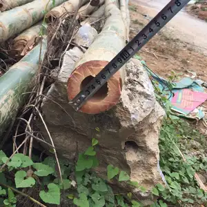竹竿在越南三角洲高品质花园中的使用