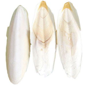 หอยปลาหมึกอบแห้ง/อาหารทะเลเวียดนาม - Product Image 2