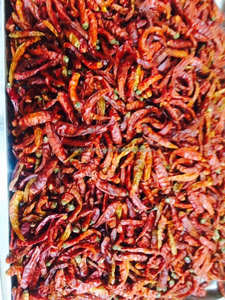 CHILI ROJO SECO AL MEJOR PRECIO DE ALTA CALIDAD - Product Image 2