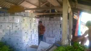 HIGH QUALITY CAVENDISH <b>BANANA</b> FROM VIET NAM - Product Image 5