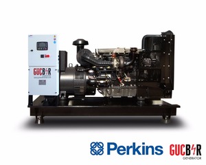 PERKINS Motor 17 kVA Grupo electrógeno diésel personalizable Toldo insonorizado con alternador de marca opcional - Product Image 2