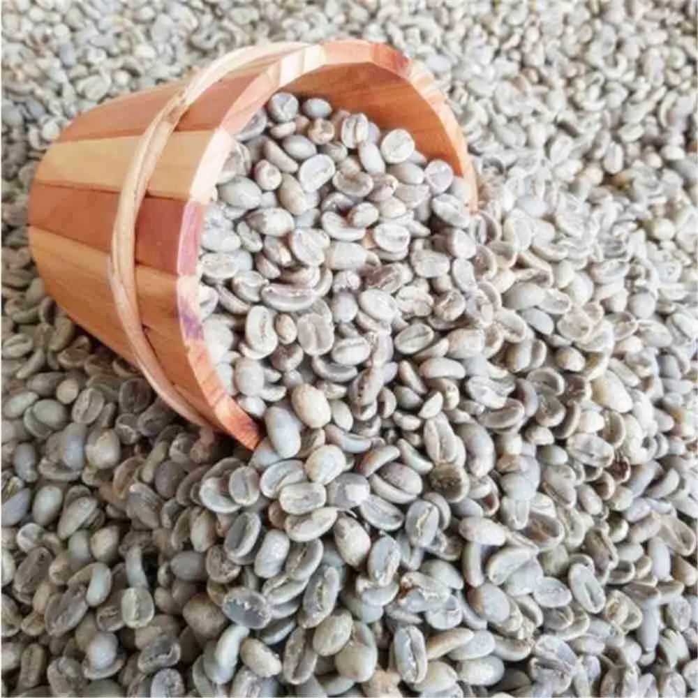 2019 en ucuz özellikler arabica kahve çekirdekleri <span class=keywords><strong>endonezya</strong></span> robusta kahve çekirdekleri toplu yeşil kahve çekirdekleri